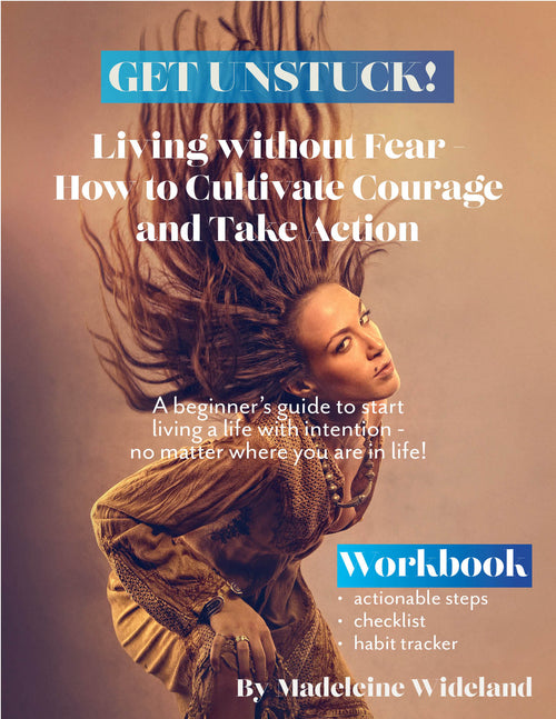 Living without Fear -  How to Cultivate Courage  and Take Action e-book